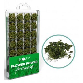 Scale75: Flower Power - Green