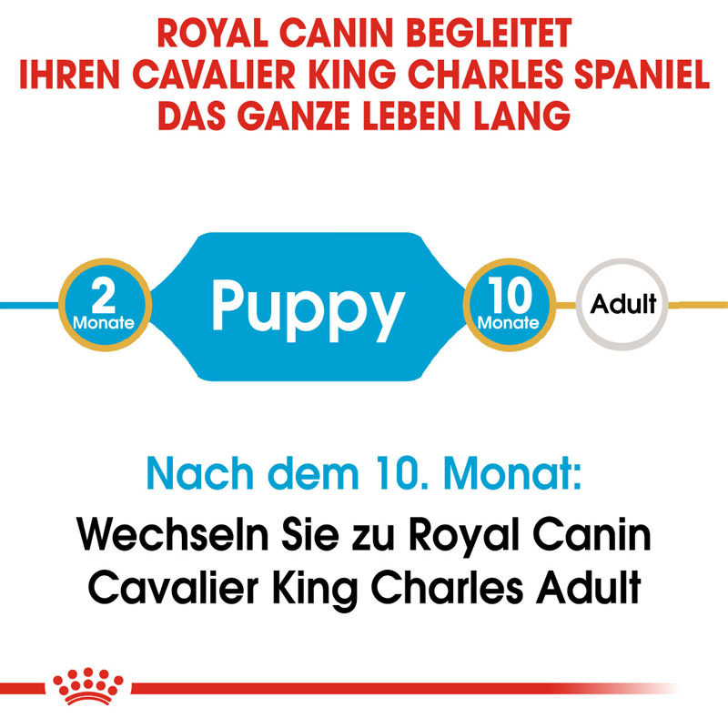 ROYAL CANIN Hundetrockenfutter ROYAL CANIN Cavalier King Charles Puppy 1,5kg