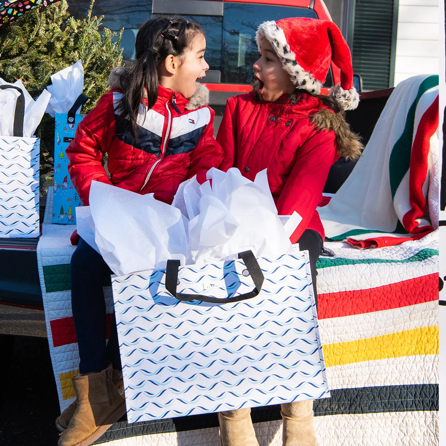 Gift Bag X-Large X-Large Package