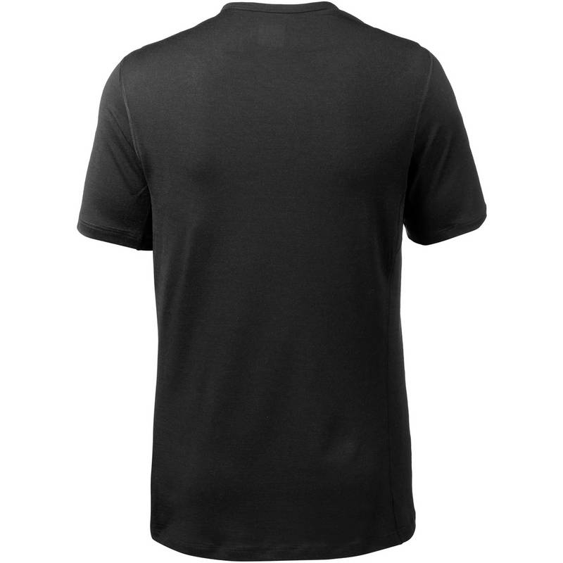 Icebreaker 200 Oasis Funktionsshirt Herren