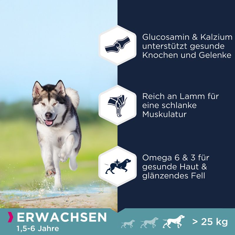 Eukanuba Grain Free Adult Large Dogs Lamm