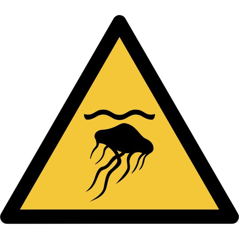 Djois Warnschild Warnung Achtung Quallen Klebstoff, einschraubbar PP (Polypropylen) 20 (B) x 0,14 (H) cm 3 Stück