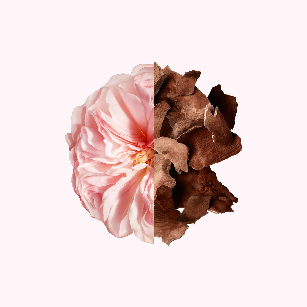 Irresistible Irresistible - Eau de Parfum