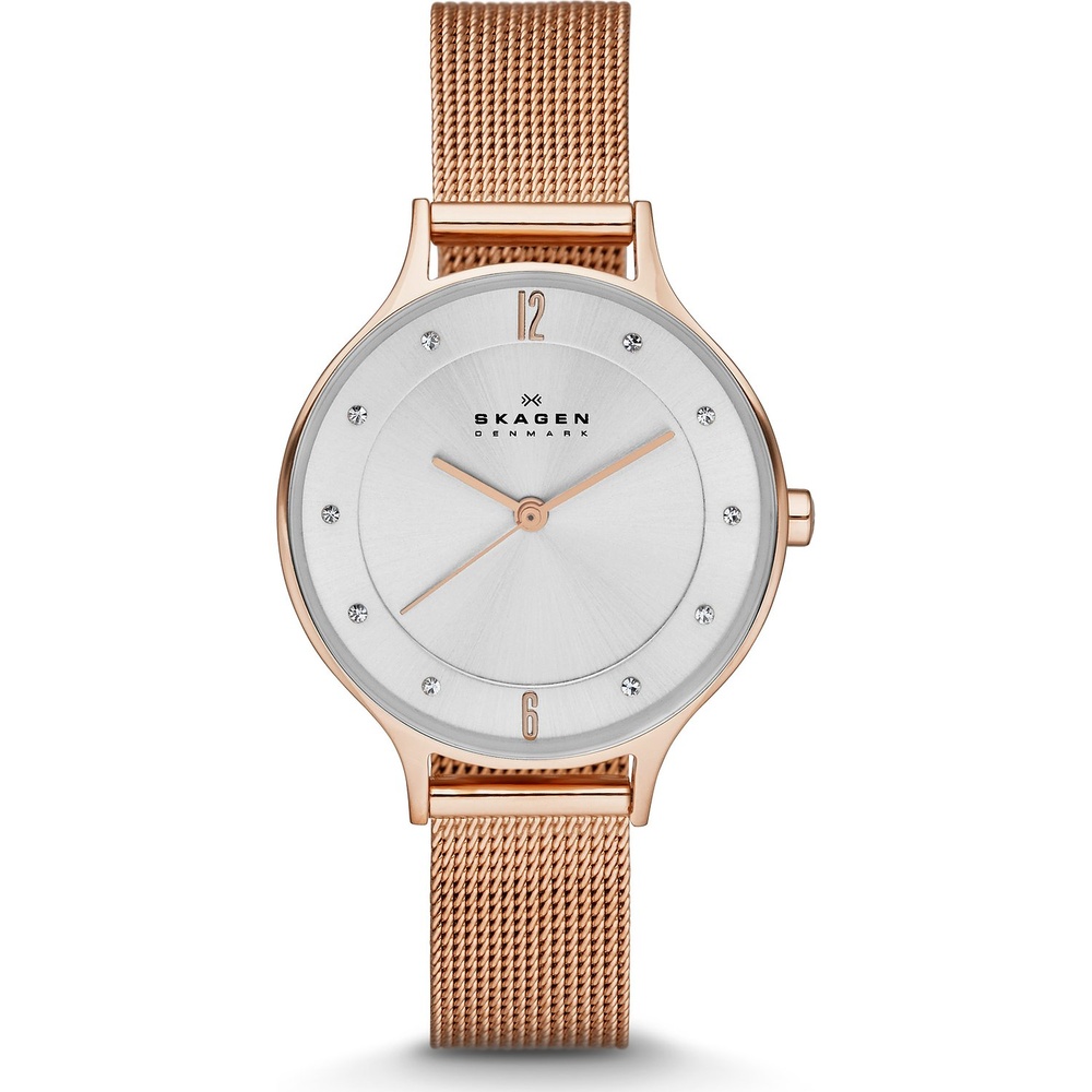 Skagen Montre pour femme Acier inoxydable Montre