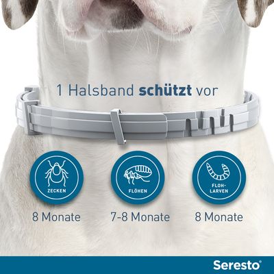 Seresto® Halsband Hund