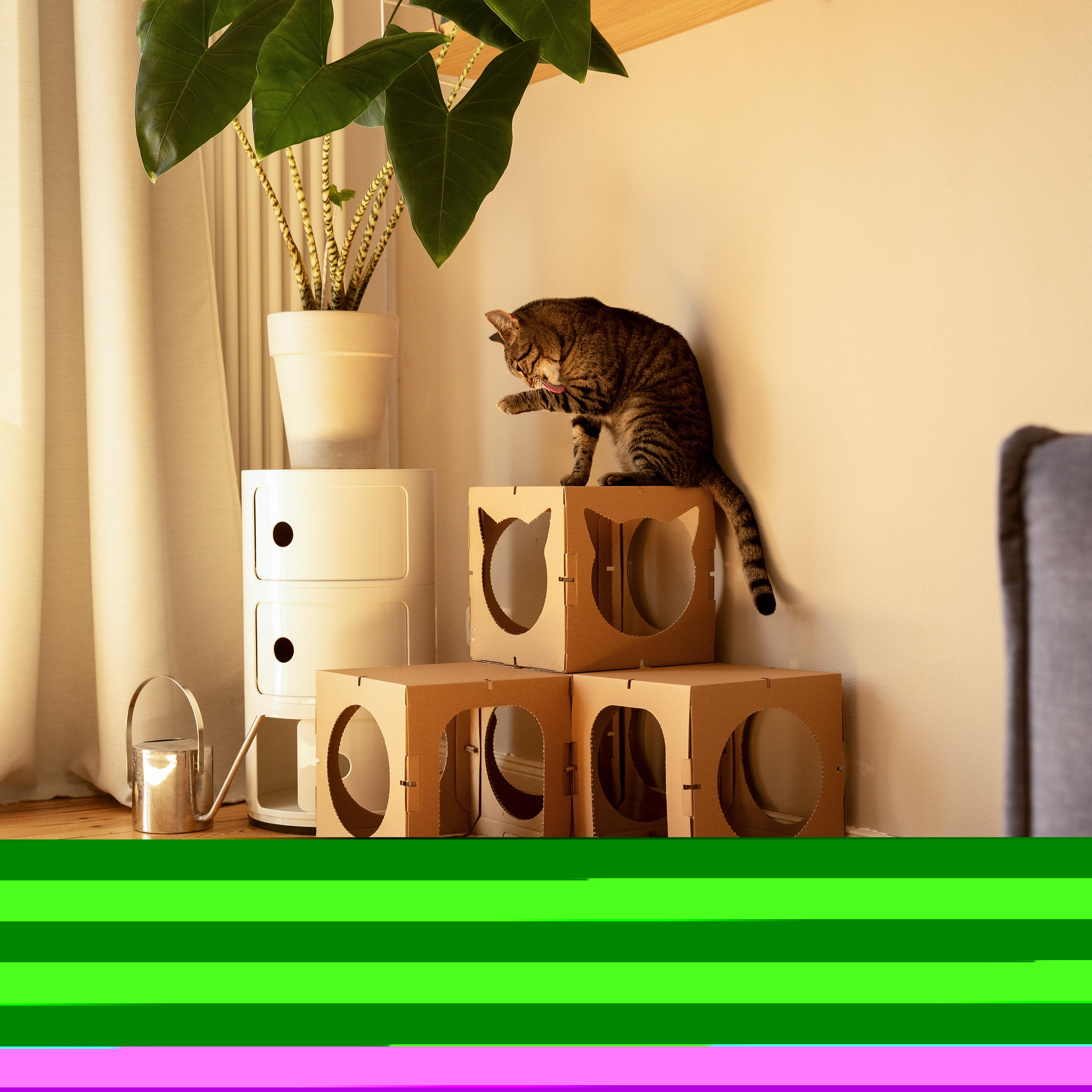 DoPetMe Katzenhäuser DoPetMe Katzenhaus The Kitten Castle