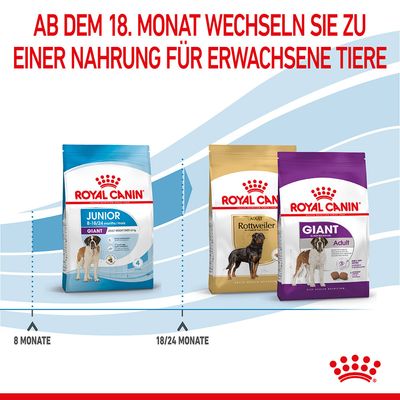 Royal Canin Giant Junior
