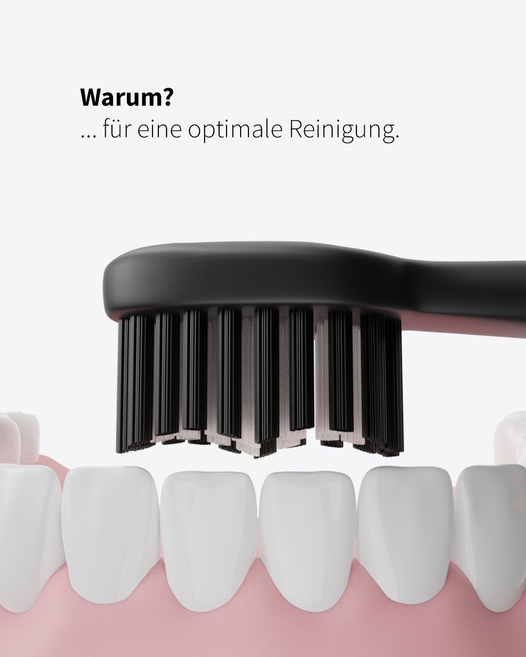 Zahnheld Aufsteckbürsten Basic Medium, 3 Stück Weiß, 3 mittelharte Wechselköpfe (plastikfrei verpackt)