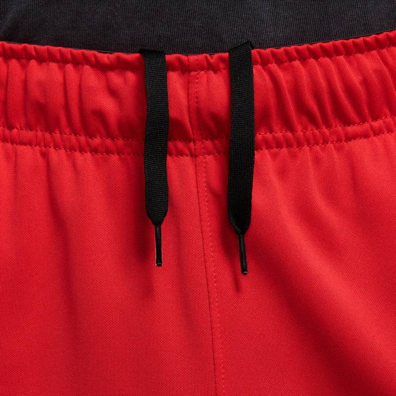 Nike Totality Funktionsshorts Herren