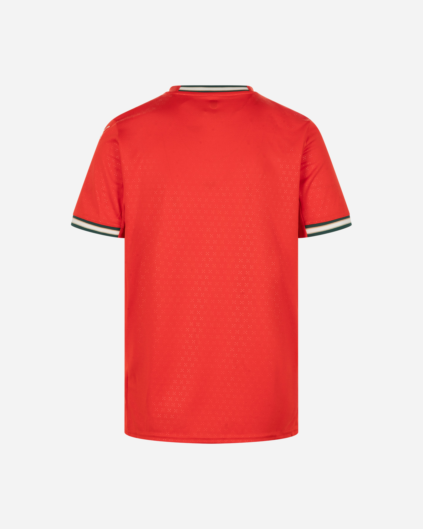 Oficjalna koszulka piłkarska Puma Portugal Home Replica M 779190-01