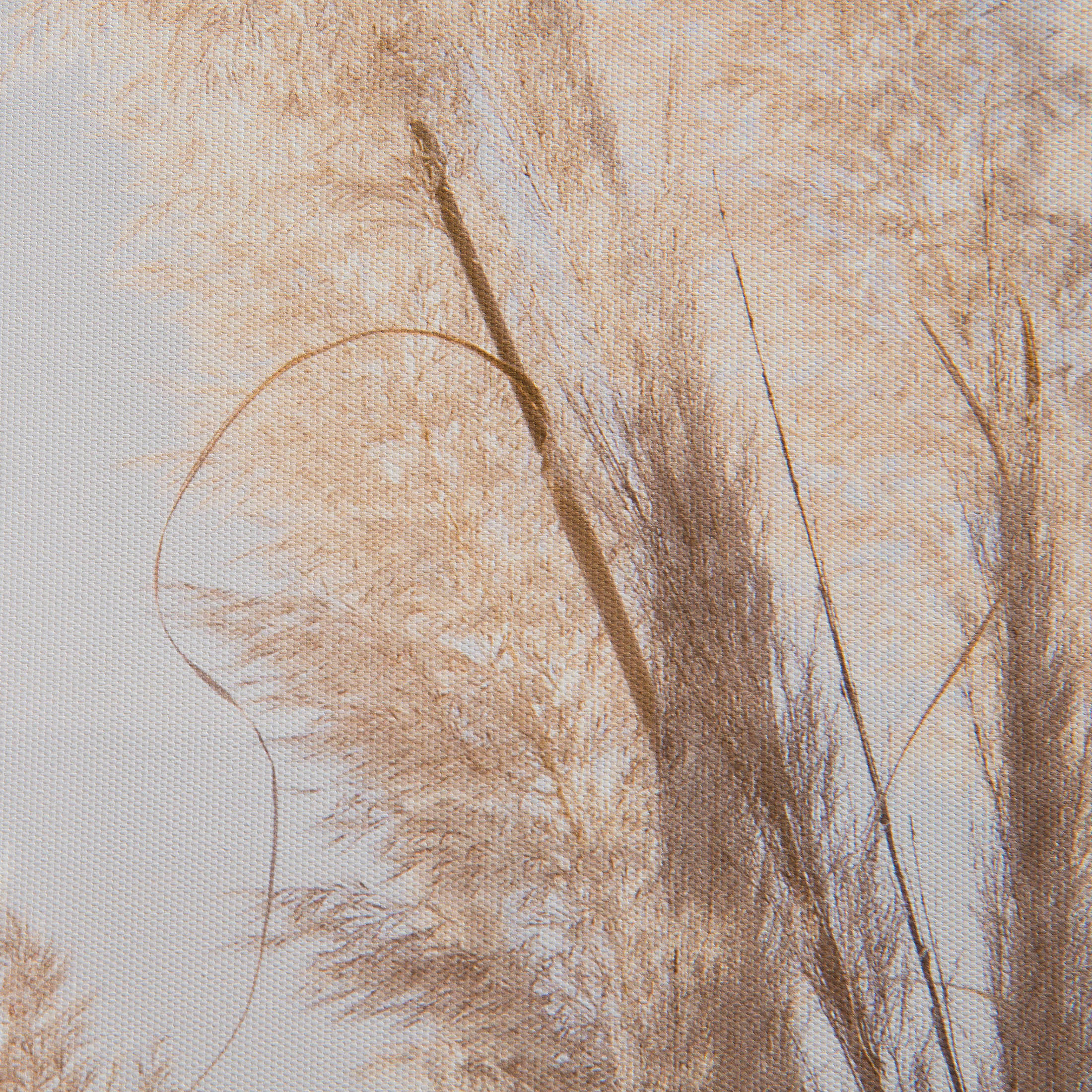Pampas Wind Leinwand-Druck-gerahmt, Weiss