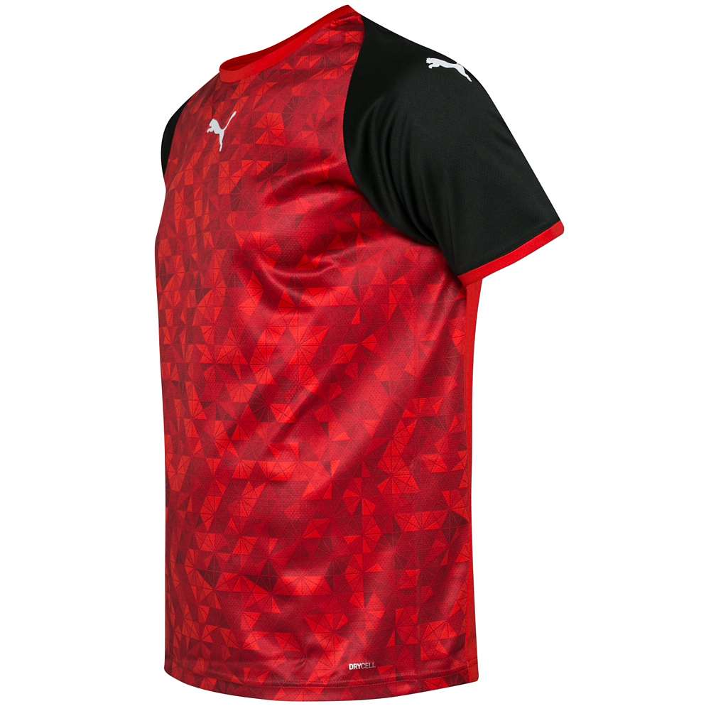 PUMA Herren Handball Trikot 764583-02