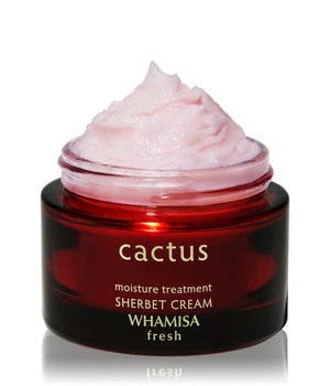 WHAMISA Fresh Cactus Sherbert Cream Gesichtscreme-45 ml