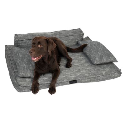 Modern Living Hundesofa Kingman