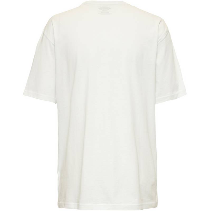 Dickies Aitkin T-Shirt Herren