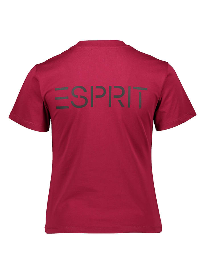 ESPRIT Shirt in Aubergine günstig kaufen