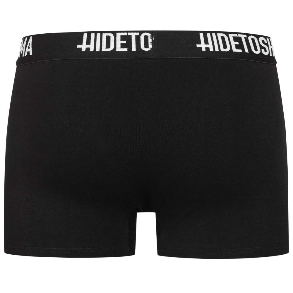 HIDETOSHI WAKASHIMA 