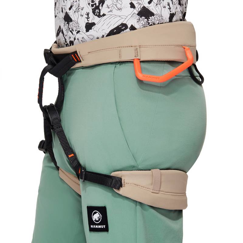 Mammut Massone Light Wanderhose Herren