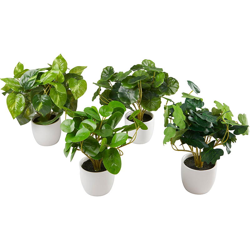 Home Grønnplante 25 cm i porselenspotte
