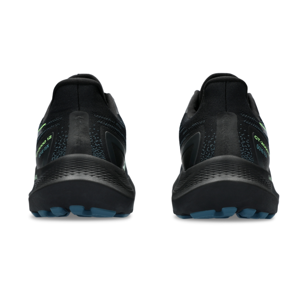 Asics GT 2000 12 GTX 1011B687-001 / schwarz