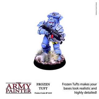 Gefrorene Büschel / Frozen Tuft