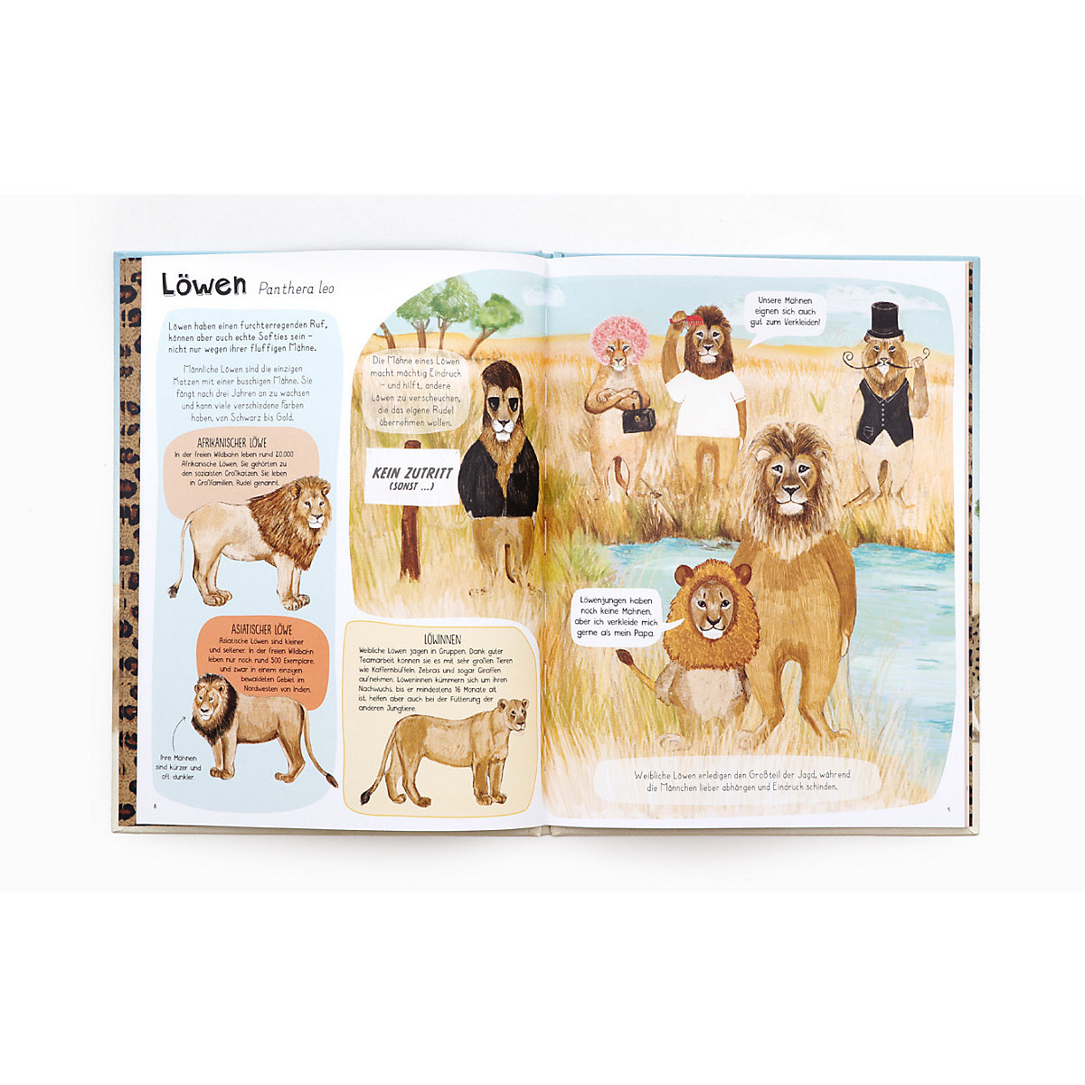 Das Katzen-Buch