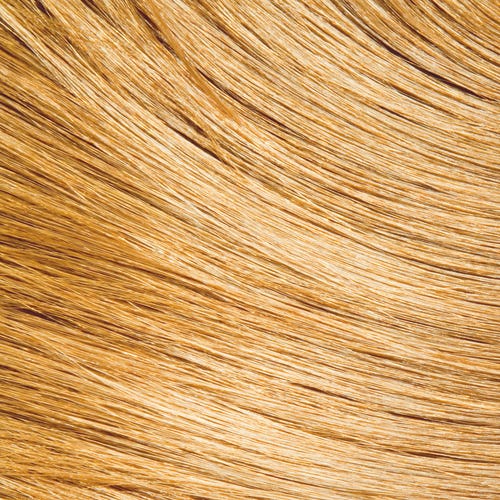 Wella EOS Pflanzentönung Golden Curry 120 g