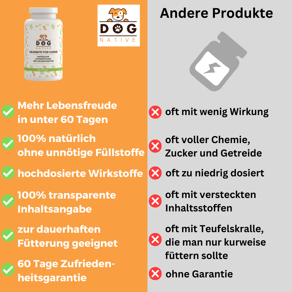 Dog-Native Ergänzungsfutter & Aufzucht Dog-Native Gelenktabletten für kleine Hunde, natürliche Gelenk-Tabletten mit Grünlippmuschel, MSM, Kollagen-Hydrolysat und Chondroitin, hochdosiert für Gelenke, 250 Tabletten