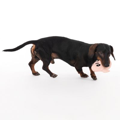 TIAKI Hundespielzeug Latex Geist