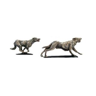 Wild Dogs