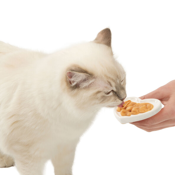 Katzensnack Creamy Thunfisch, 50 Stück