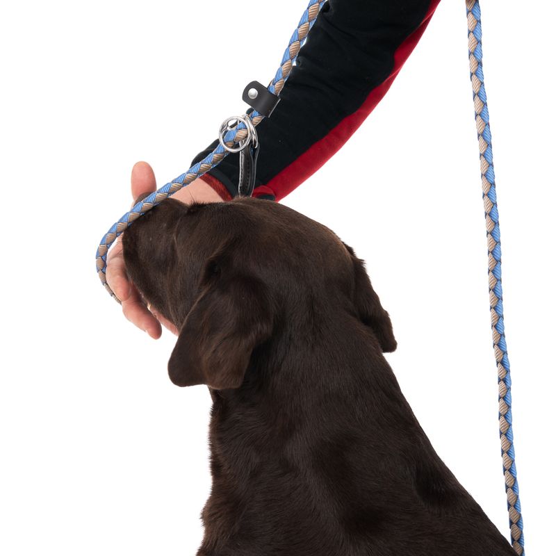 TIAKI Retrieverleine Twist zu TOP-Preisen