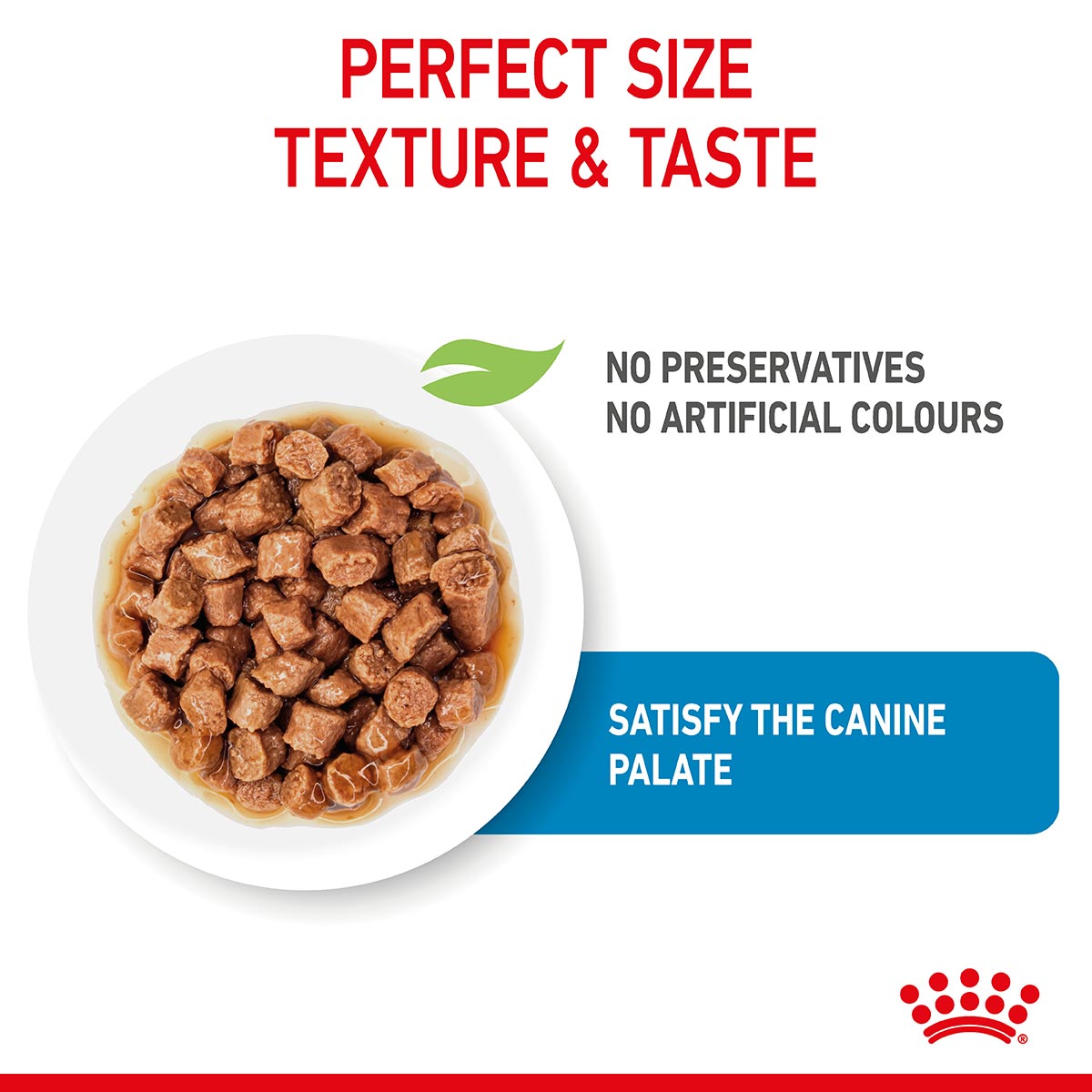 Royal Canin SHN X-Small Puppy Gravy günstig kaufen bei ZooRoyal