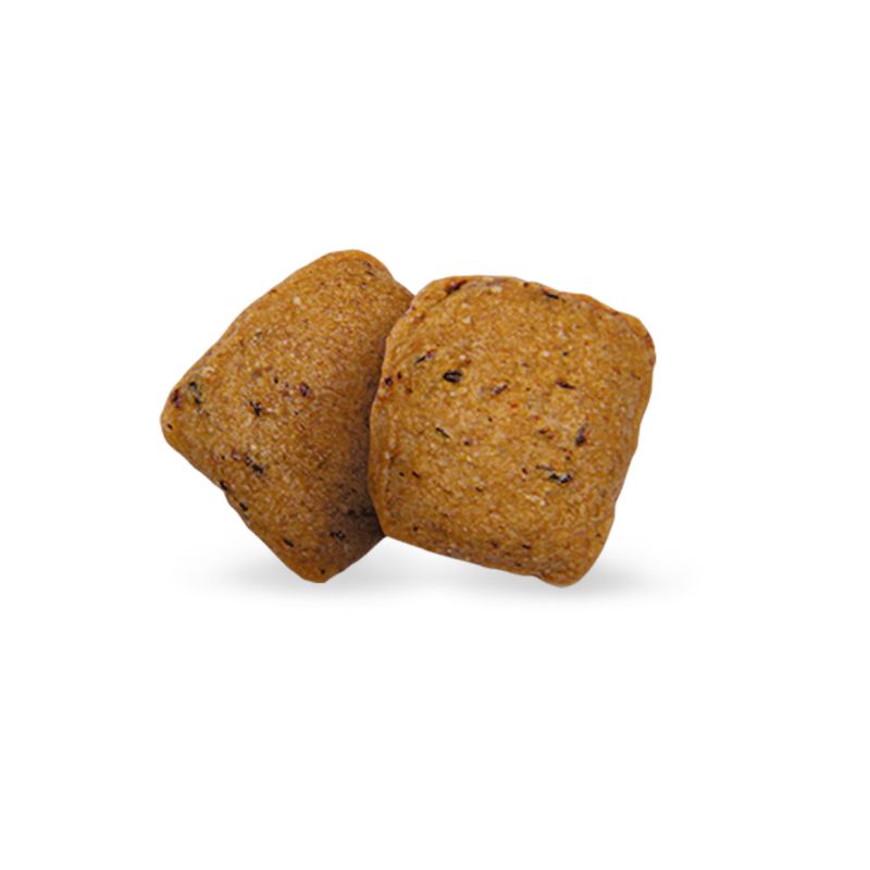 Green Petfood InsectDog hypoallergen