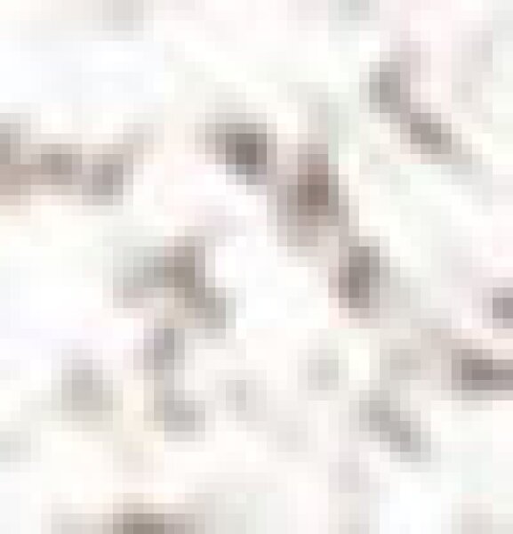 Stagecolor Cosmetics Lidschatten