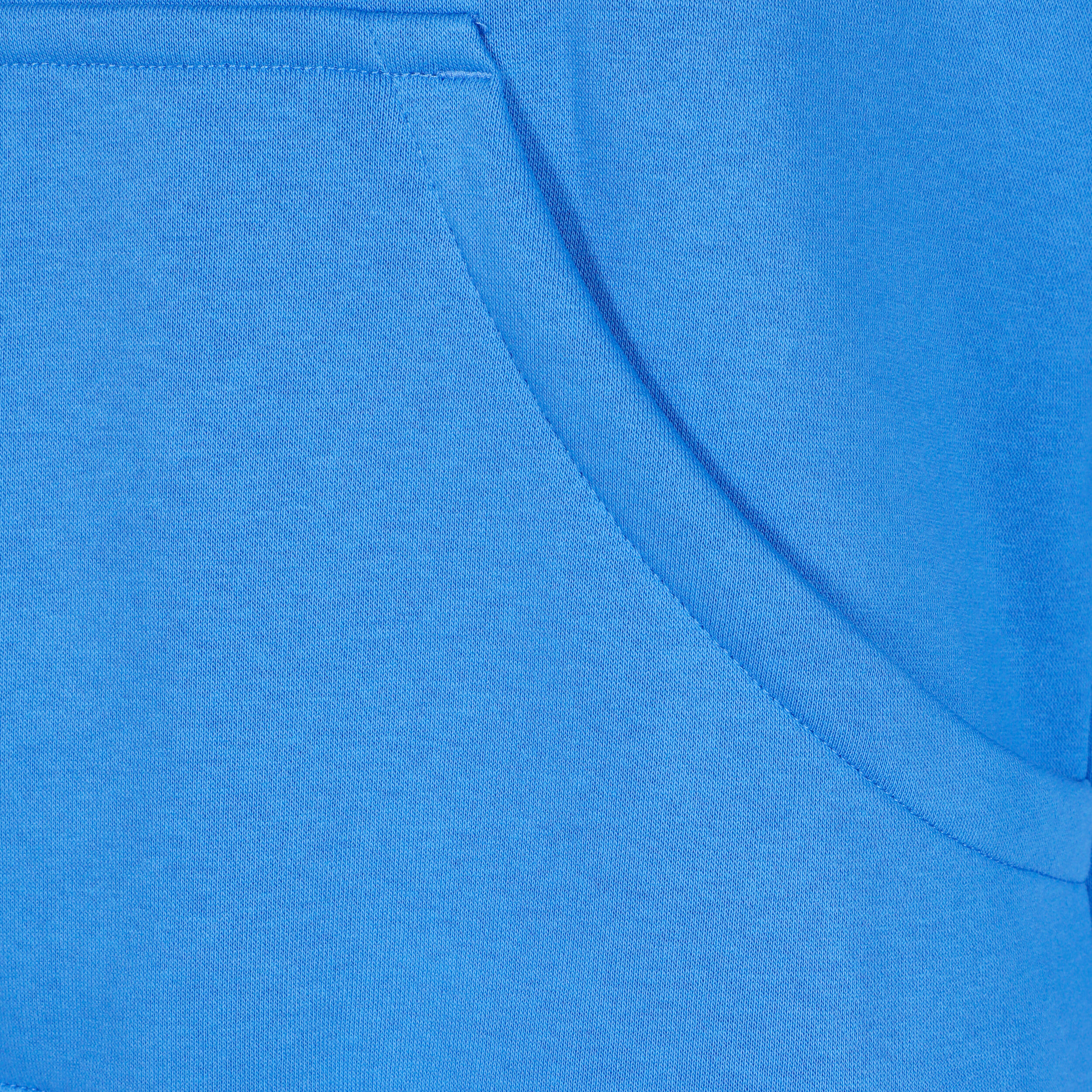 PHNX Fleece Standard Hoody Damen - Blau