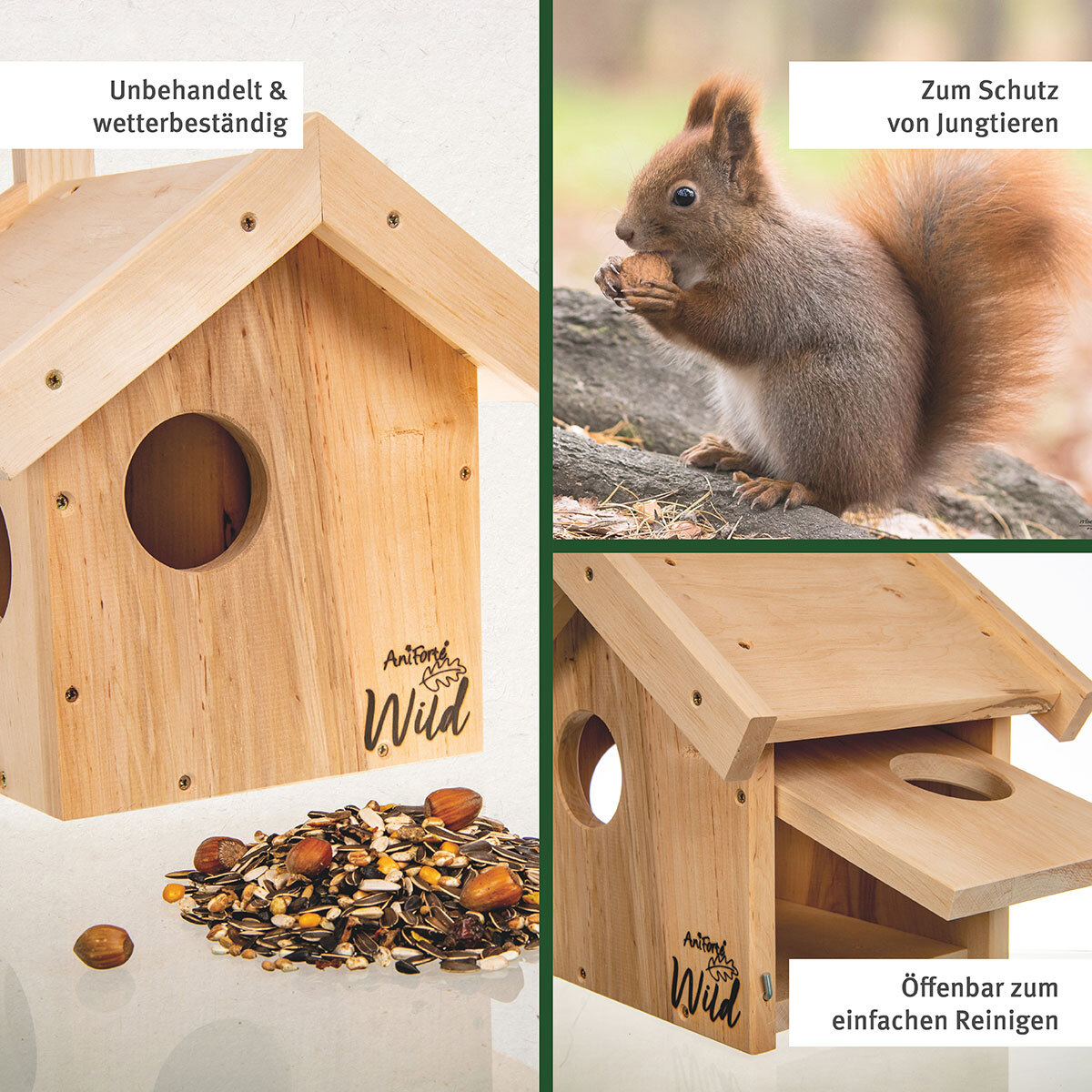 Aniforte Eichhörnchen Aniforte Wild Eichhörnchen Kobel