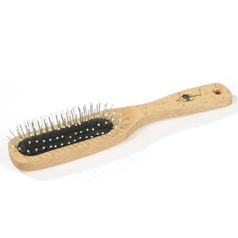 Braun & Wettberg Holzbürste - Drahtstifte