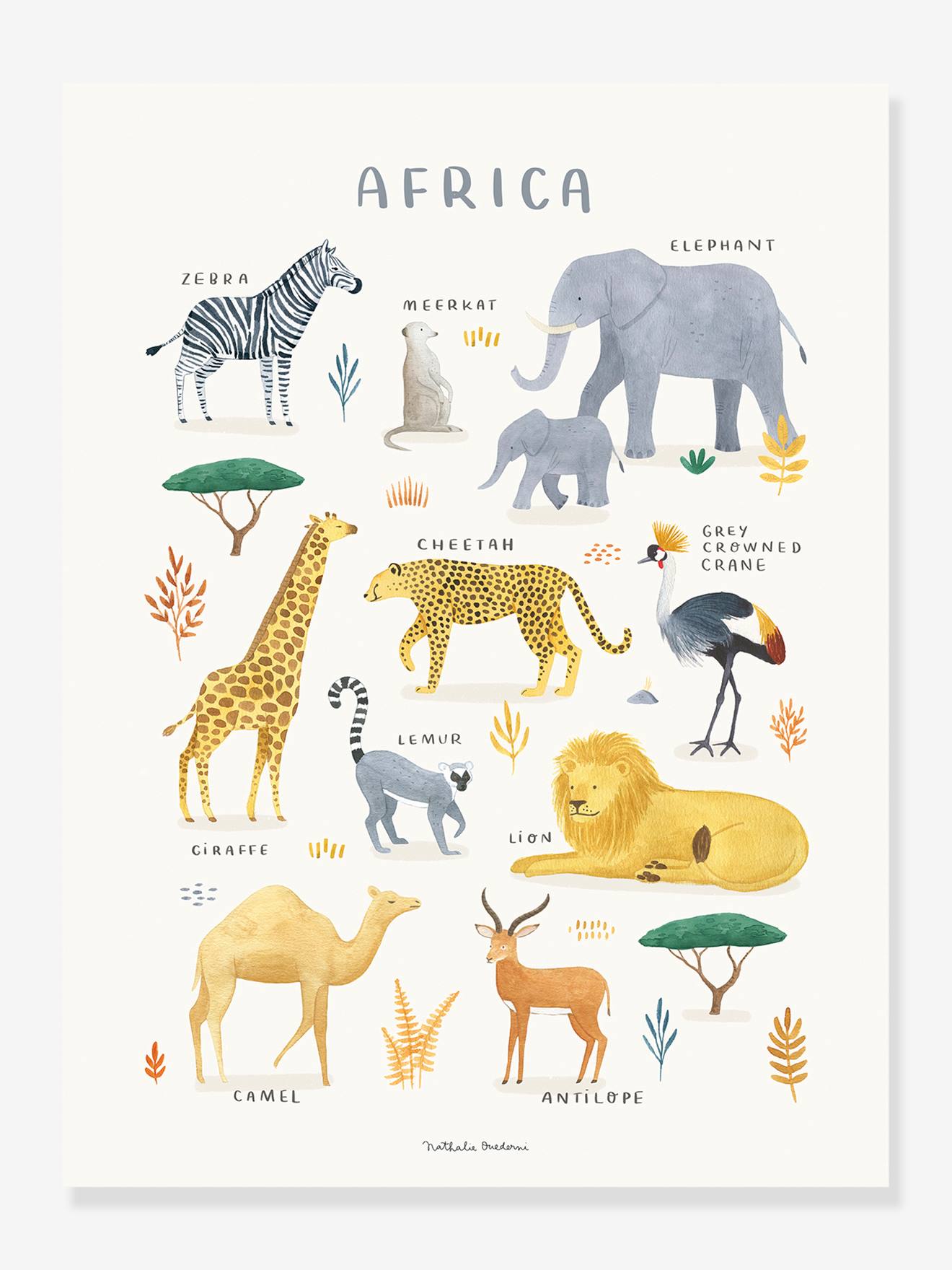 Affiche Animaux d'Afrique Lilydale LILIPINSO jaune pâle