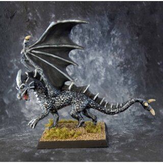 Young Dragon (REA77026)