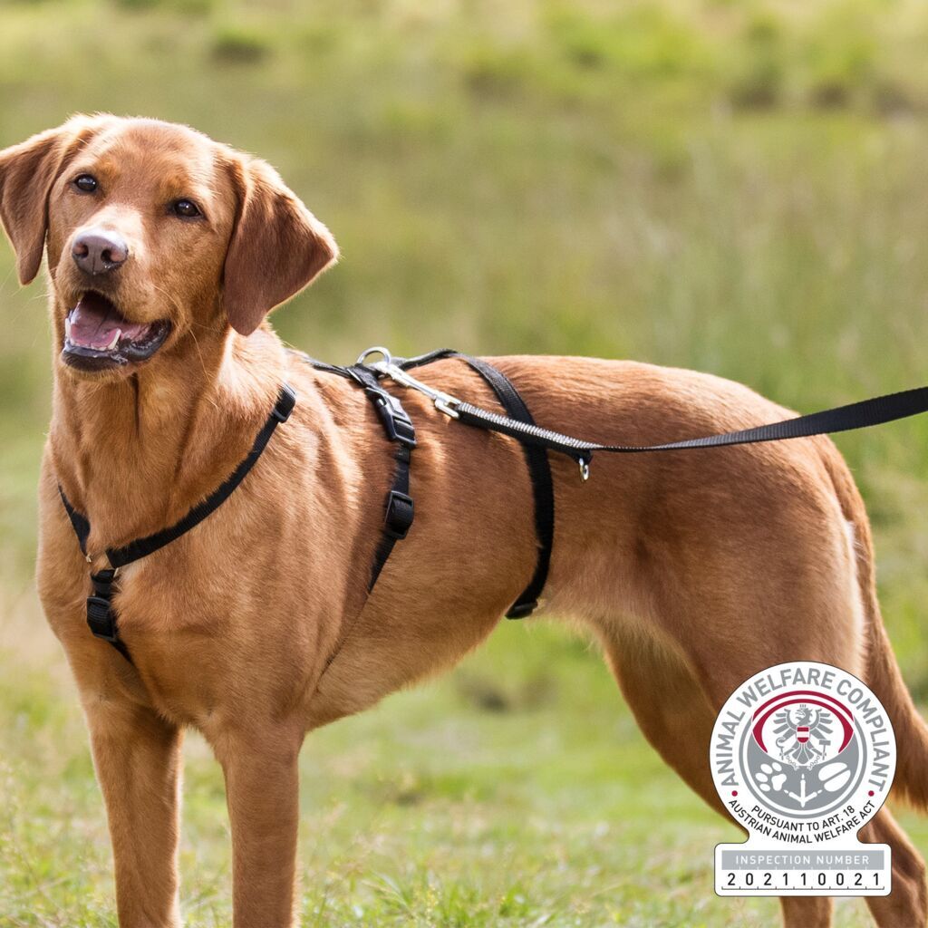 Trixie Hundegeschirre Trixie Panikgeschirr Stay