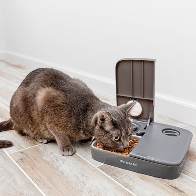 PetSafe® Futterautomat für 2 Mahlzeiten