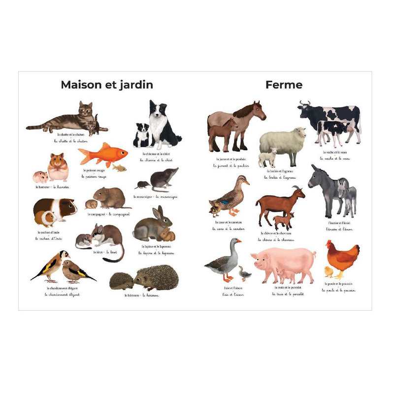 Livre L'imagier géant du Père Castor, animaux - Flammarion