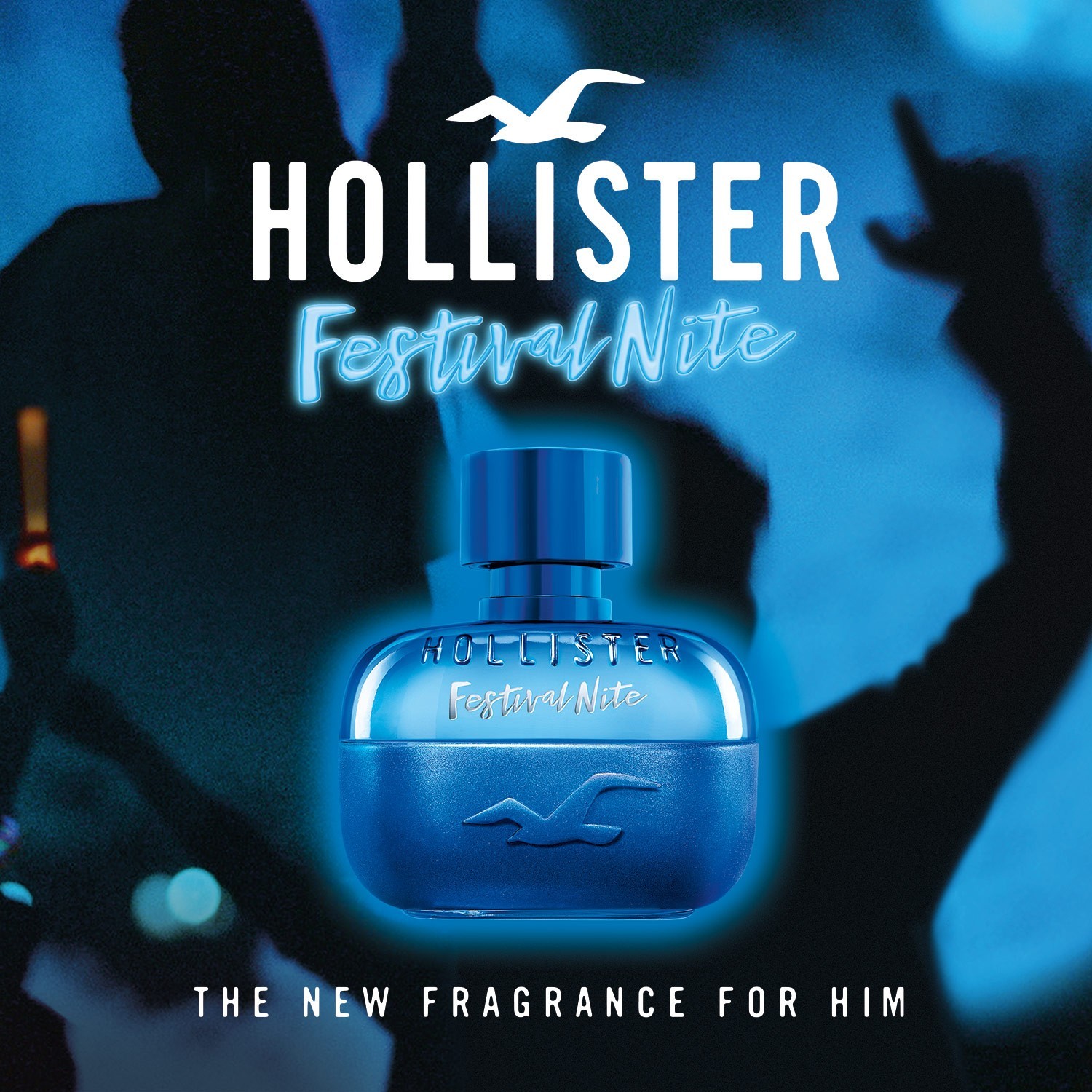 Hollister festivalio naktis jam