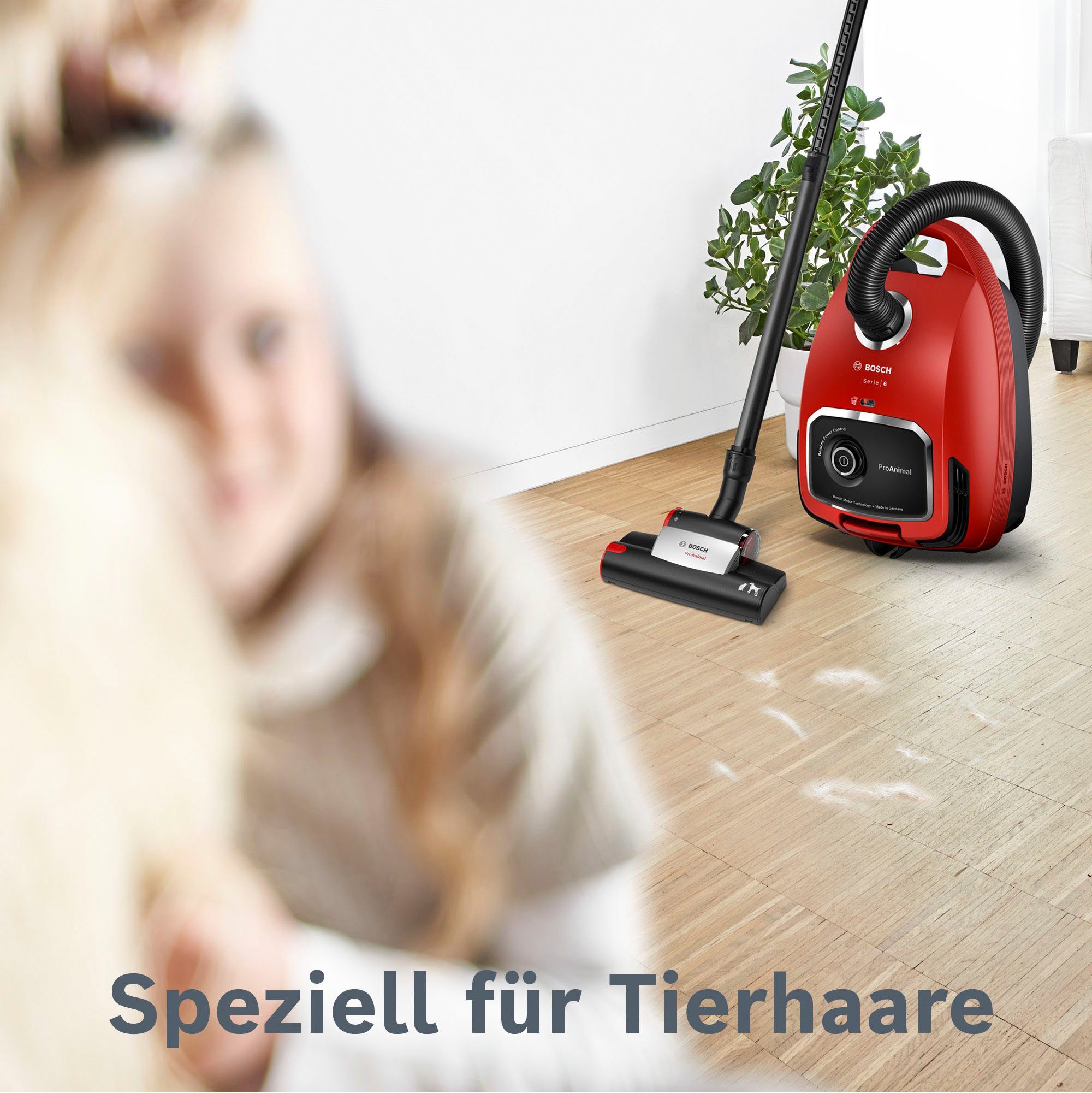 BOSCH Bodenstaubsauger ProAnimal Serie 6, BGL6TPET, 700 W, mit Beutel, Ideal für Haustierbesitzer