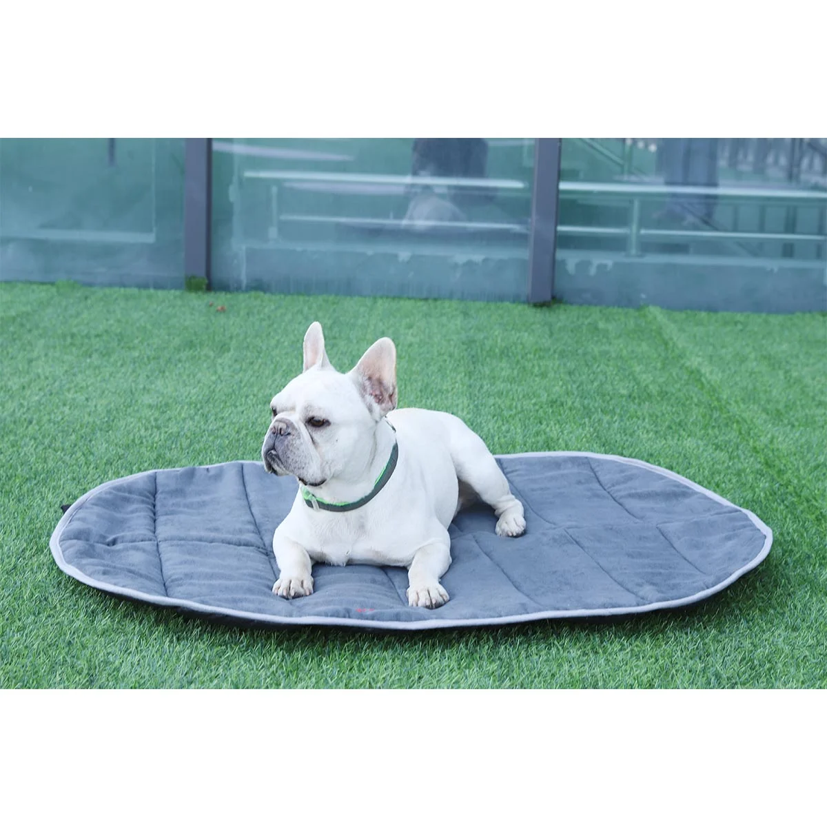 iEnergy BUR Hundematte günstig kaufen bei ZooRoyal
