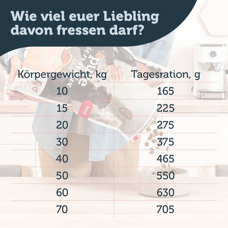 mera pure sensitive Adult Lachs & Reis