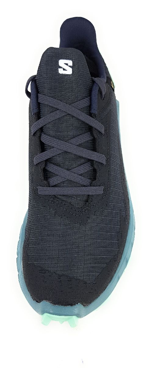 Salomon Alpha Cross 4GTX L47066800 Grau Ebony/Trellis/Yucca