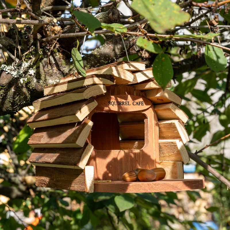 TIAKI Futterhaus für Eichhörnchen zu TOP-Preisen