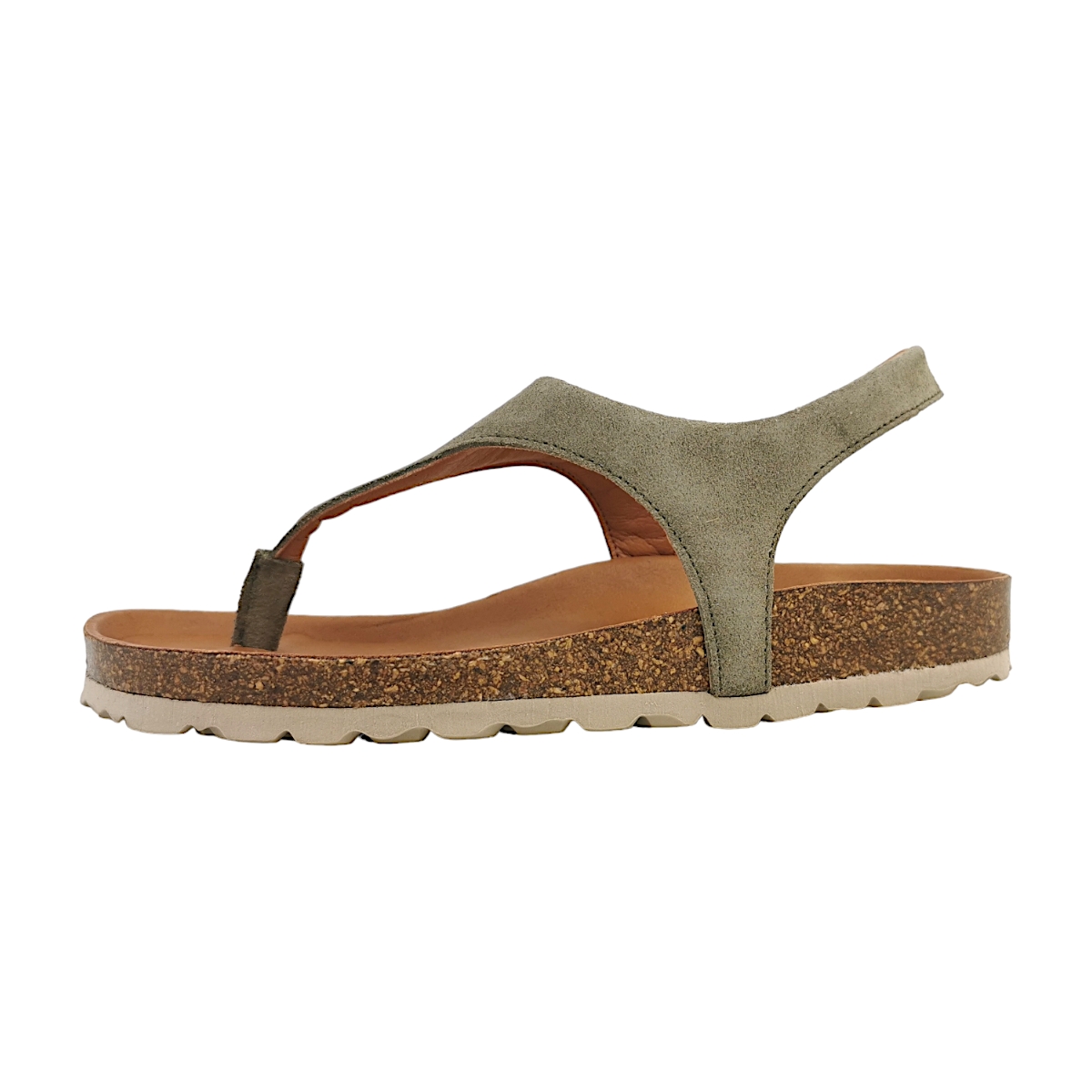 Verbenas Reagan 3301090001 Grün Khaki